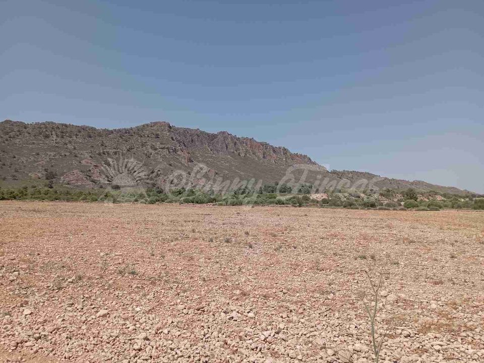 Helårsgrund i Yecla, Murcia - foto 3